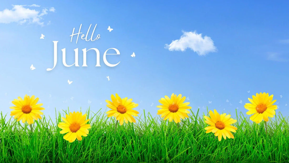 June 2025 Schedule of Events