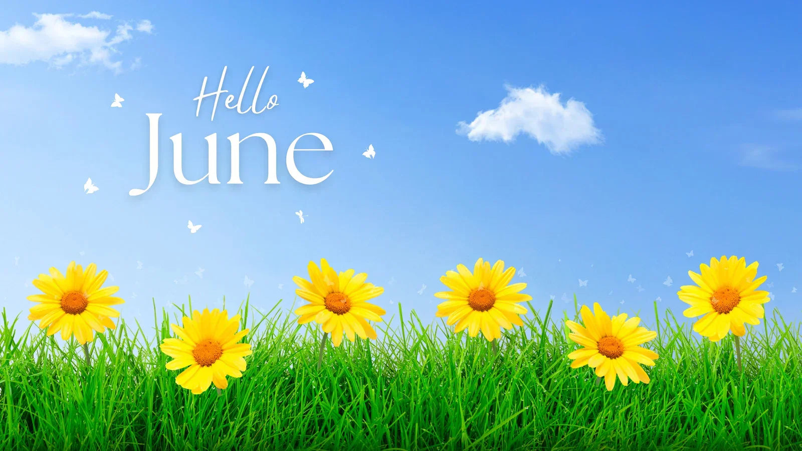 June 2025 Schedule of Events