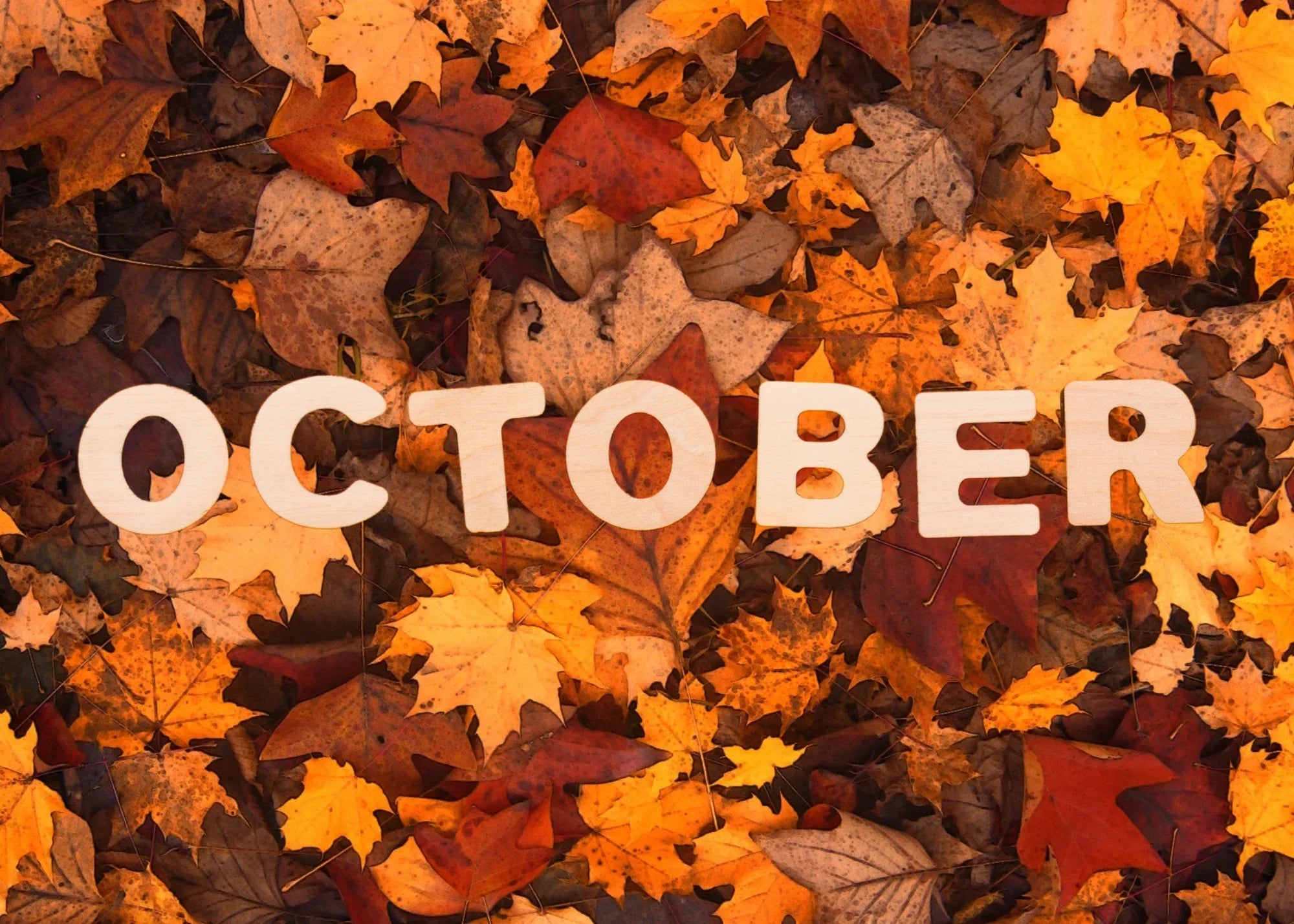 October Events