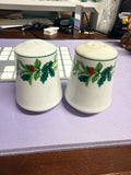 Christmas Holly & Greenery Salt and Pepper Shaker Set