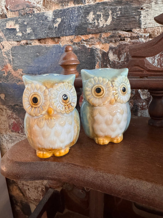 Teal Owl S&P Shakers