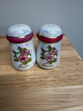 Vintage Florida Pearlized Salt & Pepper Shaker Set