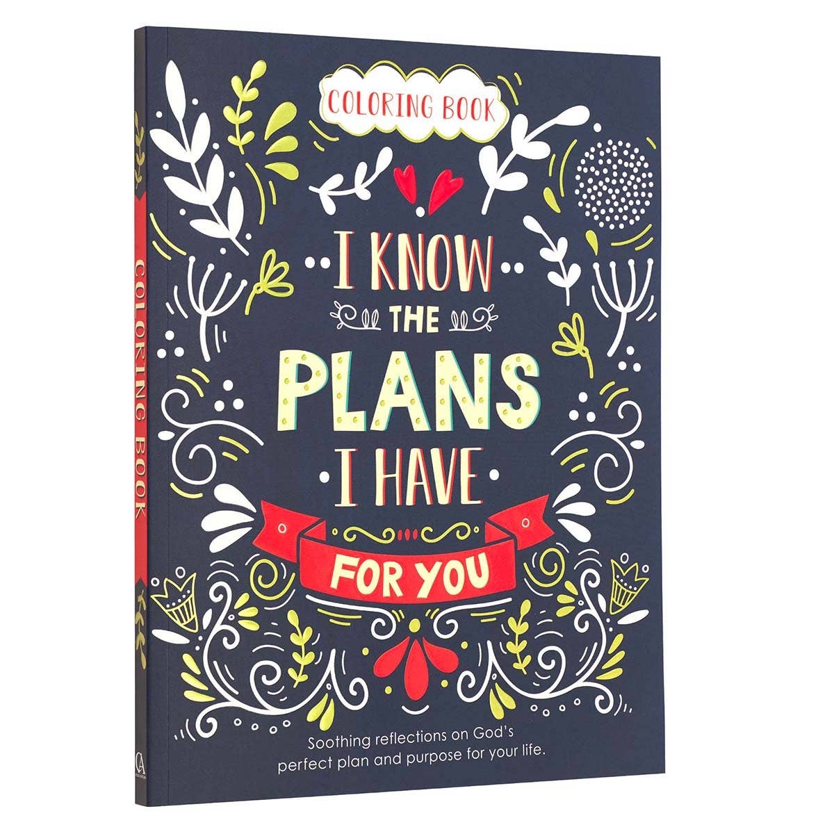 I Know the Plans Coloring Book