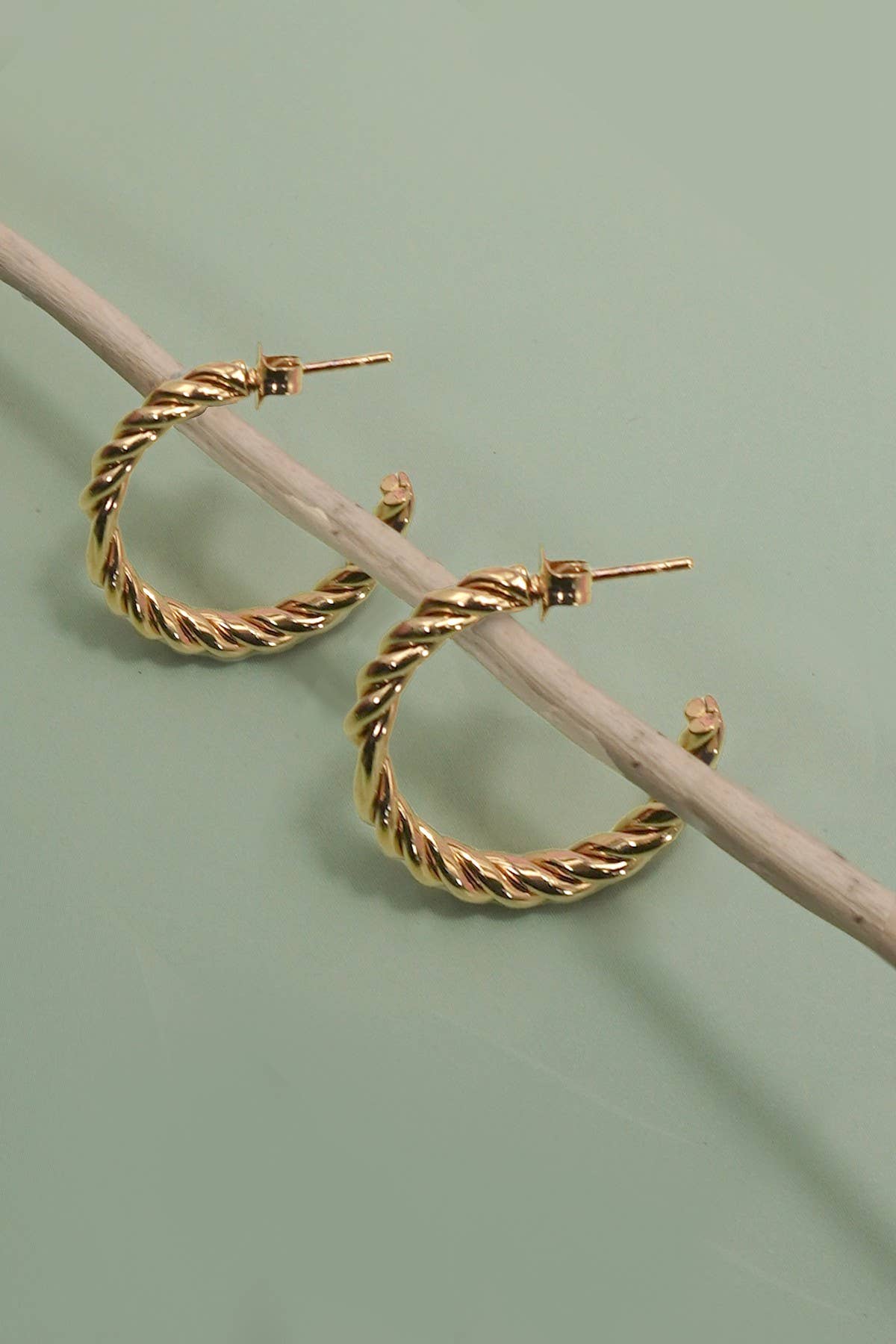 Twisted Hoop Earrings